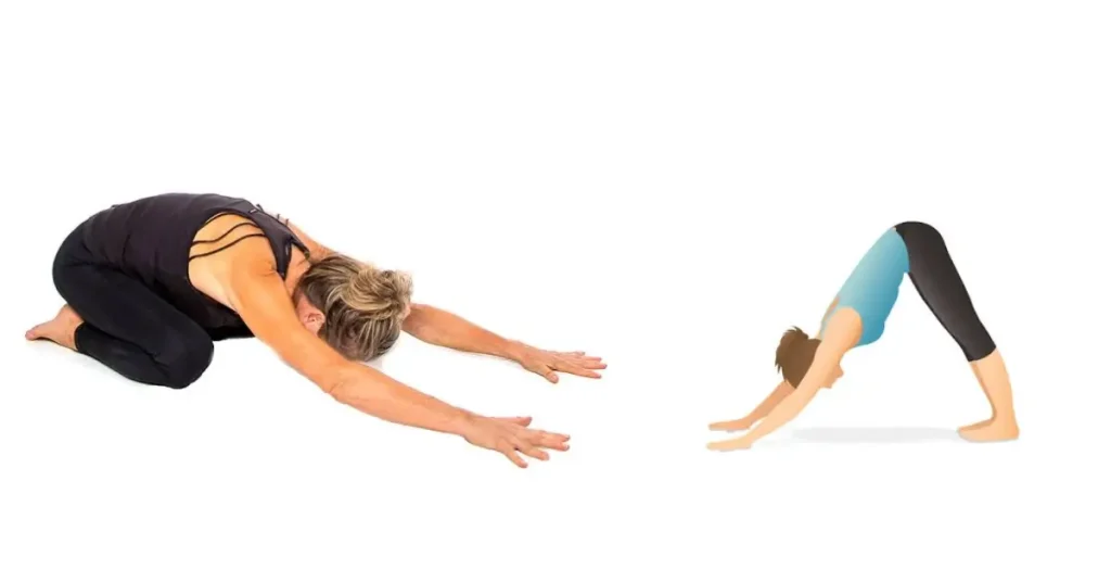 Best Yoga Poses