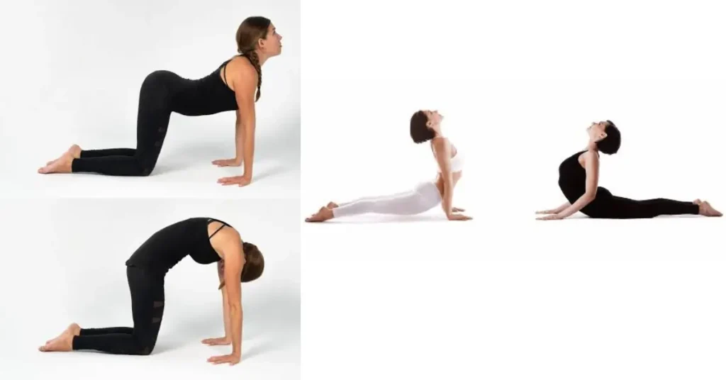 Best Yoga Poses
