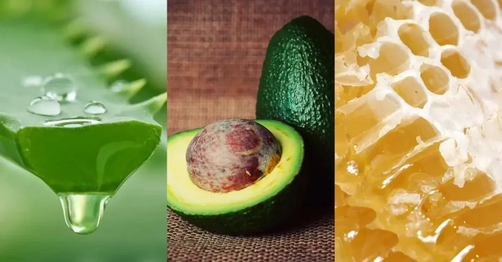 Hair Treatment Naturally